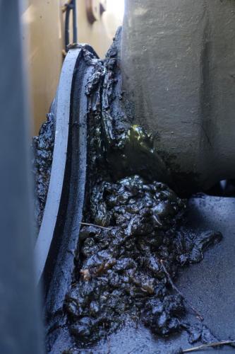 DSC01259.JPG compressed