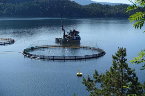 DSC01269.JPG compressed