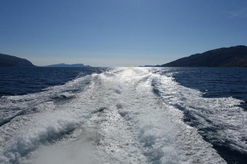 DSC01294.JPG compressed