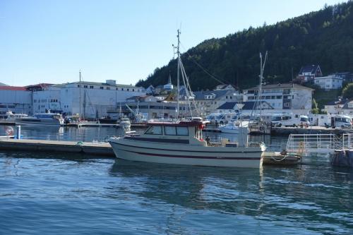 DSC01305.JPG compressed