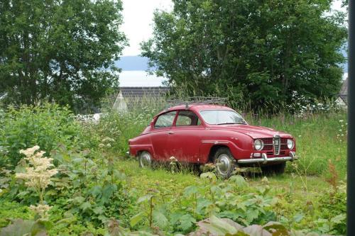 DSC01376.JPG compressed