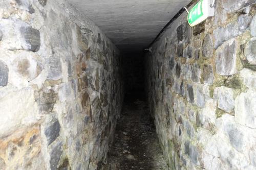 DSC01390.JPG compressed