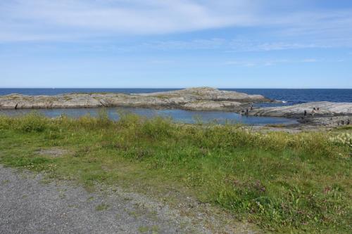 DSC01412.JPG compressed