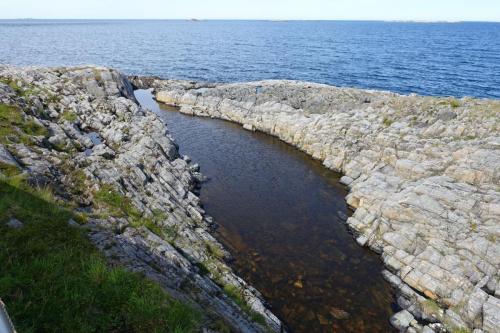 DSC01426.JPG compressed