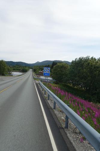 DSC01431.JPG compressed