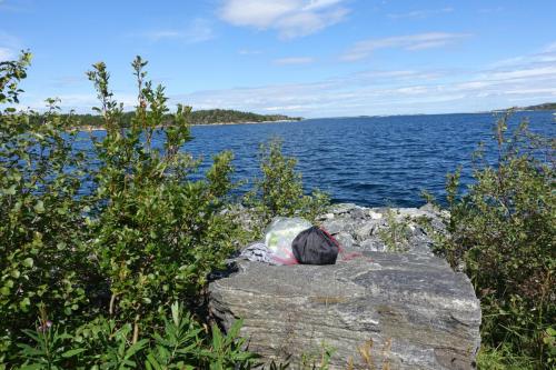 DSC01443.JPG compressed