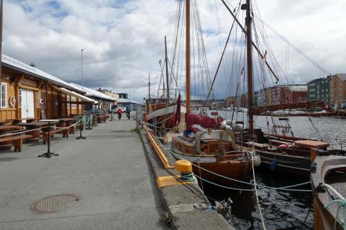 DSC01499.JPG compressed