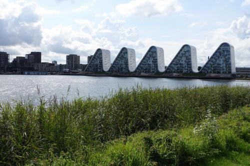 DSC01698.JPG compressed