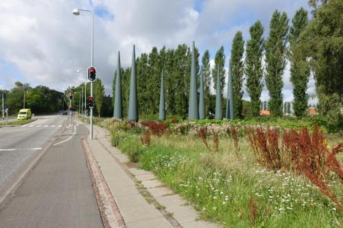 DSC01699.JPG compressed