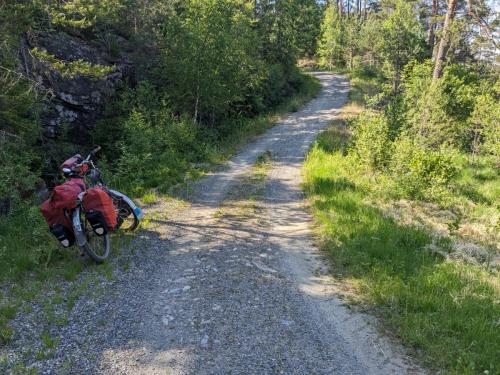 PXL 20230617 135844533.MP .jpg compressed