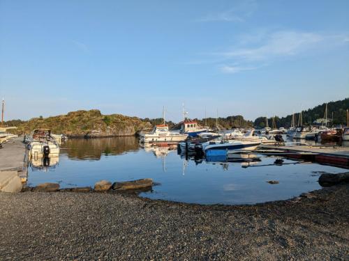 PXL 20230617 183846059.jpg compressed