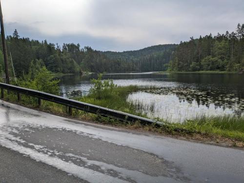 PXL 20230618 074542880.jpg compressed