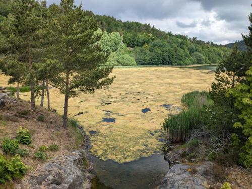 PXL 20230619 080938992.jpg compressed