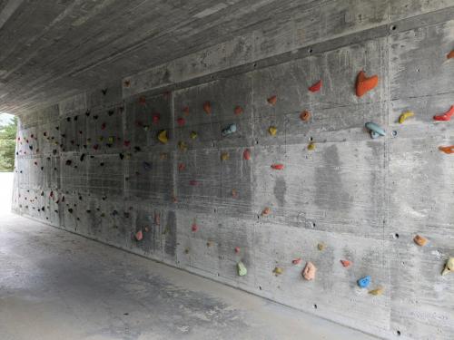 PXL 20230622 071159937.jpg compressed