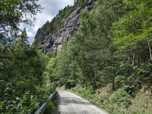 PXL 20230622 120641198.jpg compressed