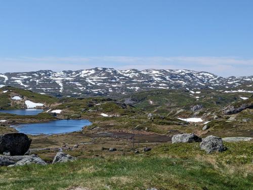 PXL 20230623 111434836.jpg compressed