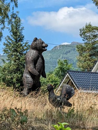 PXL 20230625 124338969.jpg compressed