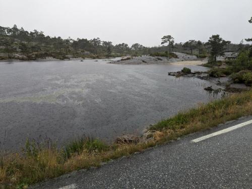 PXL 20230626 093748277.jpg compressed