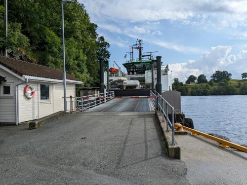 PXL 20230626 153616002.MP .jpg compressed