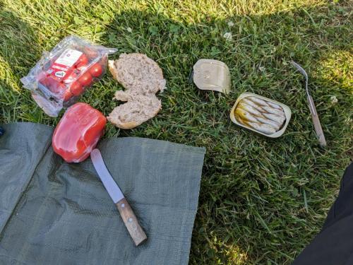 PXL 20230627 161047759.jpg compressed