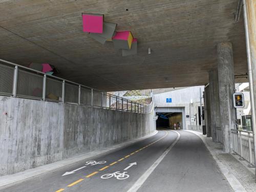 PXL 20230630 131559475.jpg compressed