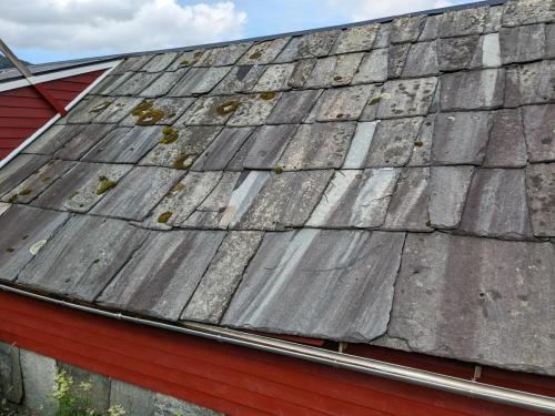 PXL 20230701 083350637.jpg compressed