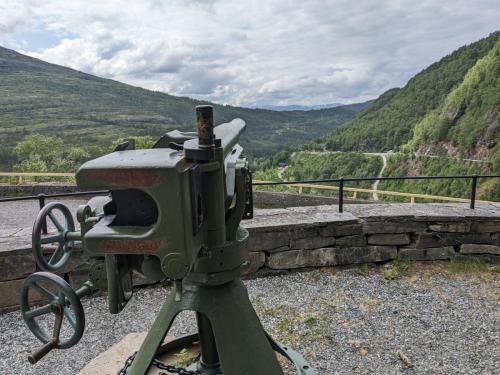 PXL 20230701 121628161.jpg compressed