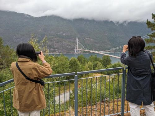 PXL 20230703 074431062.jpg compressed