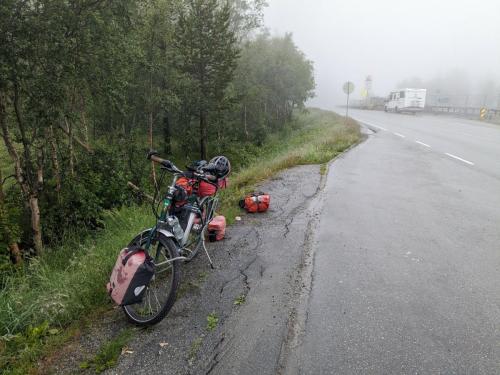 PXL 20230703 122423909.jpg compressed