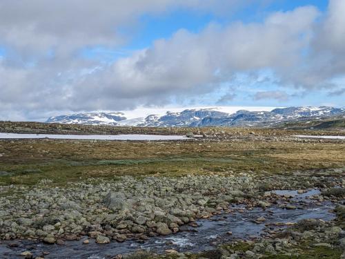 PXL 20230704 073622879.jpg compressed