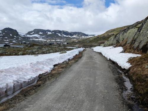 PXL 20230704 135713427.jpg compressed