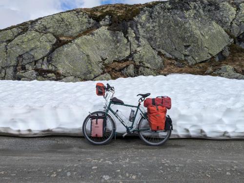 PXL 20230704 135817047.jpg compressed