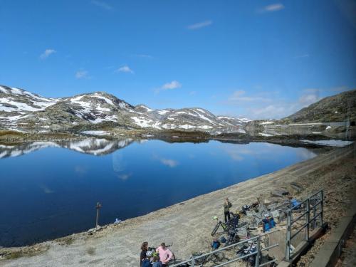 PXL 20230705 090352288.MP .jpg compressed