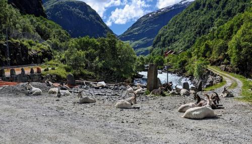 PXL 20230705 112310437.jpg compressed