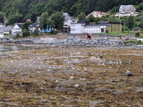 PXL 20230706 181321937.jpg compressed