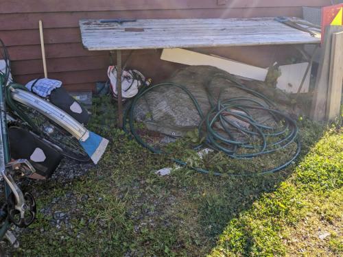 PXL 20230709 071019966.jpg compressed