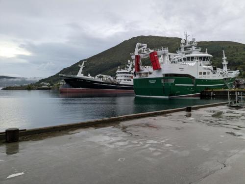 PXL 20230711 183747462.jpg compressed