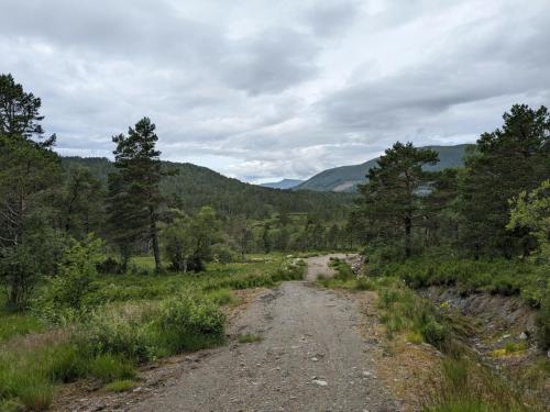 PXL 20230713 081018428.jpg compressed