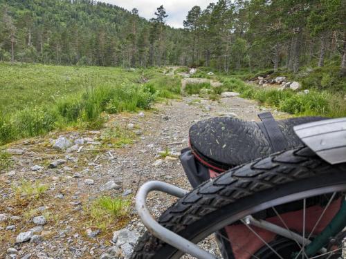 PXL 20230713 081806384.jpg compressed