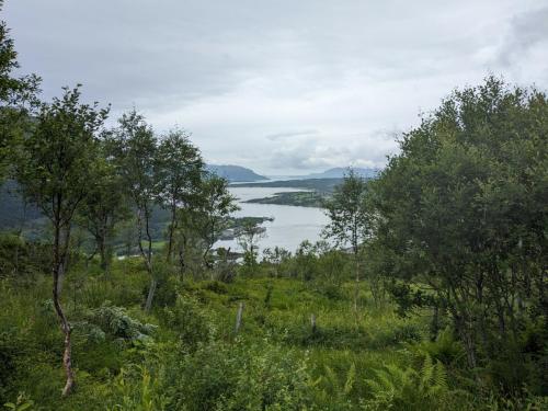 PXL 20230713 094632685.jpg compressed