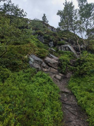 PXL 20230713 132103251.jpg compressed