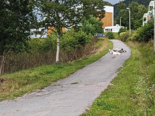 PXL 20230714 080738319.jpg compressed