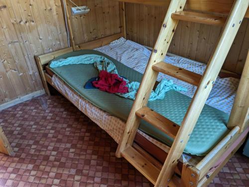 PXL 20230716 175009858.MP .jpg compressed